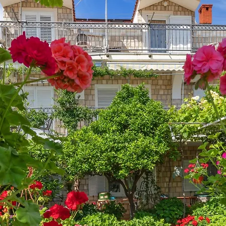 Galic 2 Gasthuis Mlini